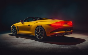 Желтый кабриолет Bentley Mulliner Bacalar 2020 года вид сзади