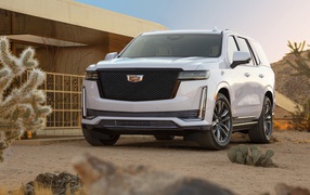 Cadillac Escalade Platinum SUV, 2020 at home
