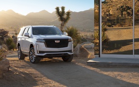 Внедорожник  Cadillac Escalade Platinum Sport, 2021 года у зеркального здания