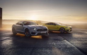Два автомобиля Ford Mustang Mach 1 2021 года туманным утром