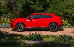 Красный автомобиль Lamborghini Urus вид сбоку 