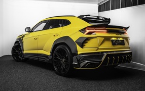 Желтый автомобиль  Lamborghini Keyrus 2020 года вид сзади 