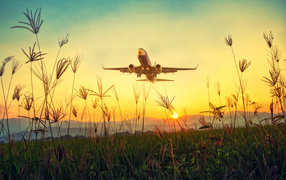 Большой пассажирский самолет взлетает над полем на рассвете 