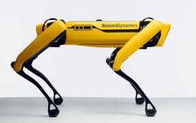 Yellow four-legged spot robot on a white background