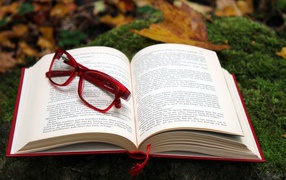 Книга с красными очками лежит на земле 