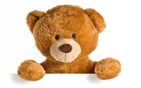 Милый плюшевый медвежонок на белом фоне