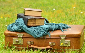 Старый чемодан с книгами и шарфом на траве