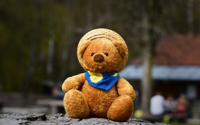 Плюшевый медвежонок в шляпе на земле 