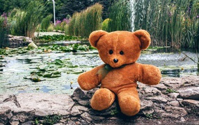 Плюшевый медведь сидит на камне у пруда