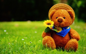 Мишка Тедди с цветком сидит на зеленой траве