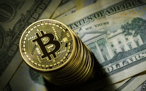 Bitcoin gold coins lie on dollars