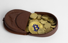 Leather wallet with coins on a gray background