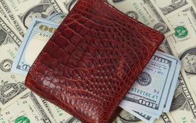 Кожаный кошелек с долларовыми купюрами