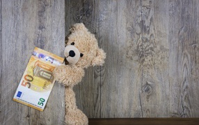 Медвежонок с купюрой пятьдесят евро у стены