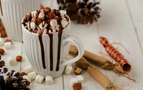 A cup of hot chocolate with marshmallows and cinnamon