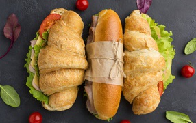 Appetizing sandwiches on a gray table
