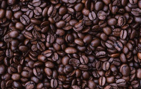 Ароматные зерна кофе арабика 