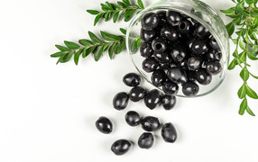 Черные маслины с розмарином на белом фоне