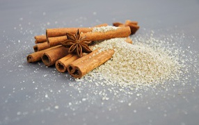 Cinnamon, star anise and sugar on a gray table