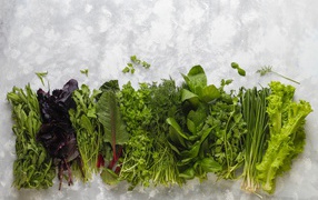 Свежая ароматная зелень на столе 