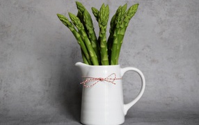 Green asparagus in a white vase against a gray wall