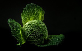 Green cabbage on a black background close up
