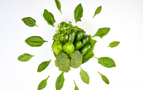 Green set of vegan vegetables on white background