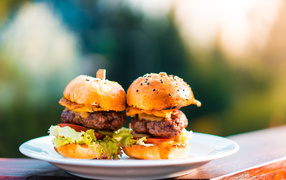 Гамбургеры с сочной котлетой на тарелке 