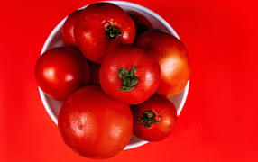 Large tomatoes in a white bowl on a red background