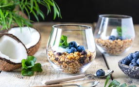 Muesli with blueberries on a table with coconut