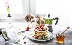Pancakes on a table with berries, honey and a cat