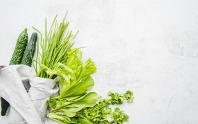 Зелень петрушки и лука, листья салата и свежие огурцы на белом фоне