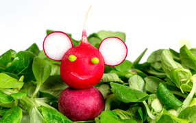 Зверь из красного редиса на листьях базилика 