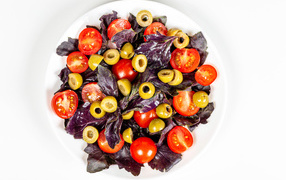 Salad with basil leaves, tomatoes and olives on a white plate