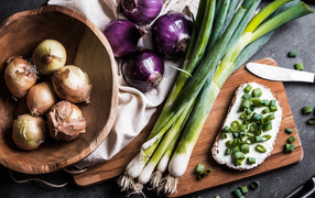 Бутерброд на столе с зеленым и репчатым луком