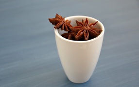 Star anise stars in a white cup on the table