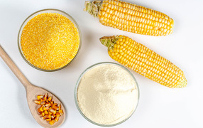 Two ears of corn on a white background with cereal and flour