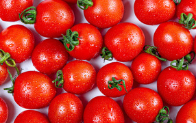 Wet red tomatoes close-up