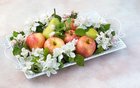 Яблоки и груши на тарелке с цветами яблони 