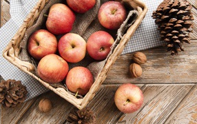 Корзина с яблоками на столе с сосновыми шишками