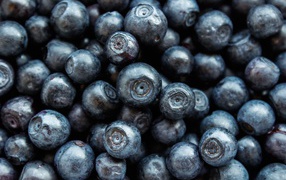 Ягоды черники крупным планом 