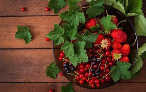 Ягоды смотродины в миске с клубникой и зелеными листьями