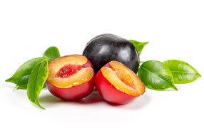 Сочные аппетитные сливы на белом фоне с зелеными листьями