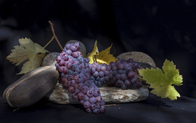 Большие гроздья розового винограда с камнями