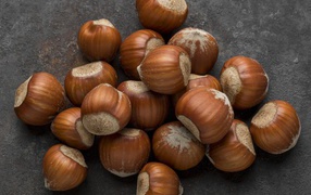 Много лесных орехов на сером столе 