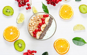 Мюсли на столе с калиной и цитрусовыми фруктами