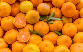 Оранжевые спелые мандарины крупным планом 