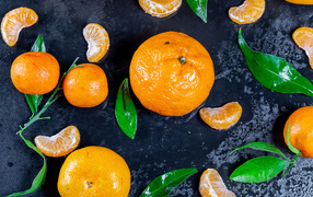 Оранжевые мандарины на мокрой поверхности 