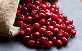 Спелые красные черешни в мешке на столе 