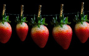 Спелая клубника висит на прищепках на черном фоне